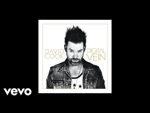 David Cook - Wicked Game (Audio)