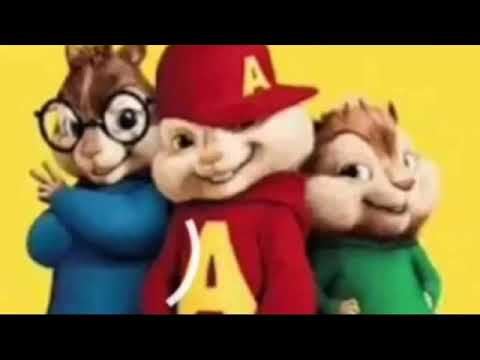 ترند تيك توك وش جابك قلي وش جابك ||| جودي الحوتي بصوت السناجب 🔥🔥