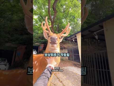 동물과 친해지는 가장 쉬운 방법