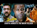 Suriya Arrests The Main Villain Singam Latest Telugu Movie Scenes SriBalajiMovies