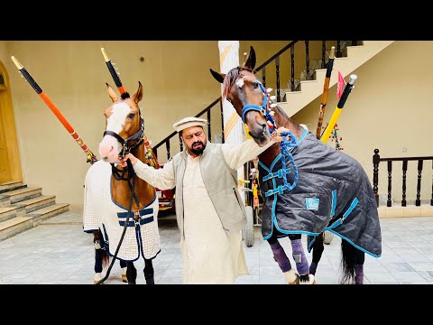 , title : 'The Fastest horse in the world||Chachi Badsha'