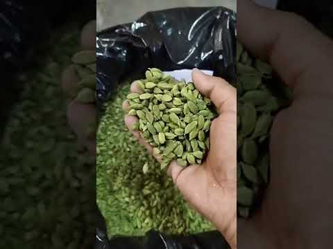 Green Cardamom