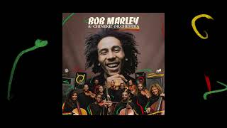 Redemption Song – Bob Marley and The Chineke! Orchestra (Visualizer)