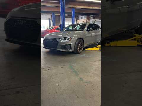 B9.5 S4 - 034 Lowering Springs Install #audi