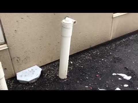 Rodent prevention tips for homeowners