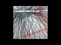 Richard Buckner ‎– Surrounded [Full Album]
