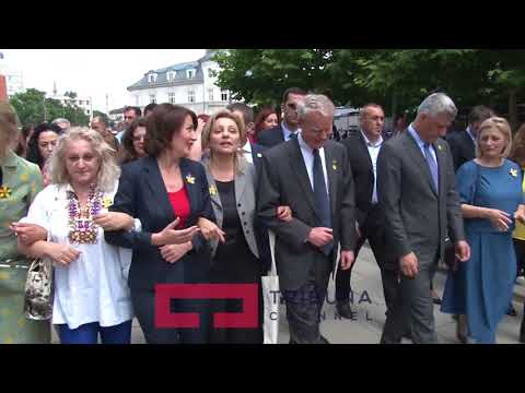 Nis fushata   Behu zeri im