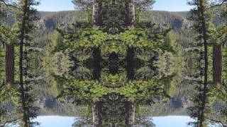 Karmic Energies - Psychosis