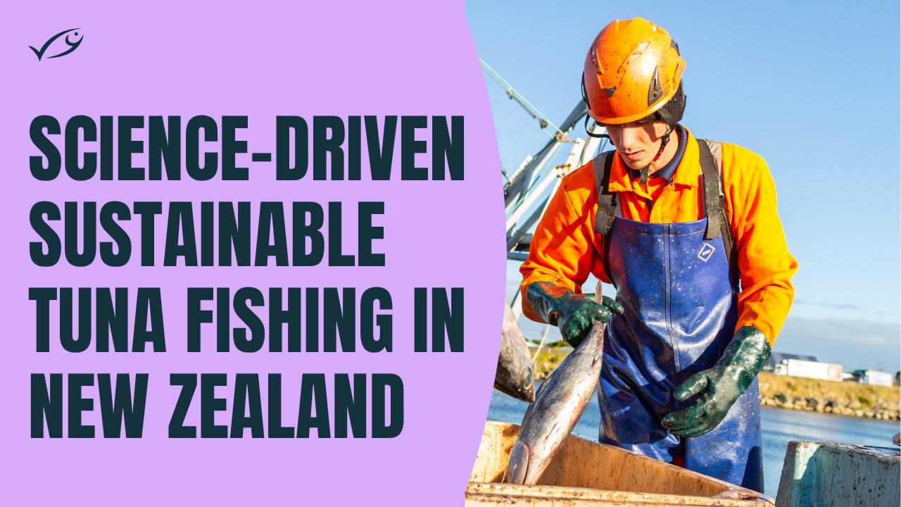 How science guides sustainable tuna fishing, a New Zealand educational film