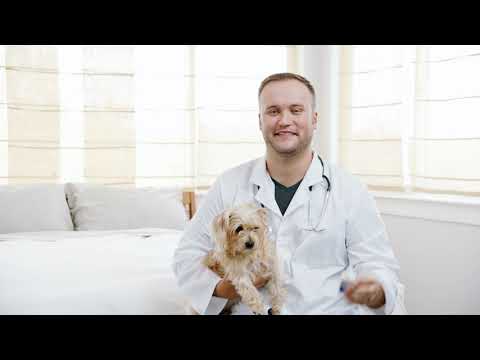 Treat Your Pet’s Ear Infections at Home with ZYMOX | No Vet Required!