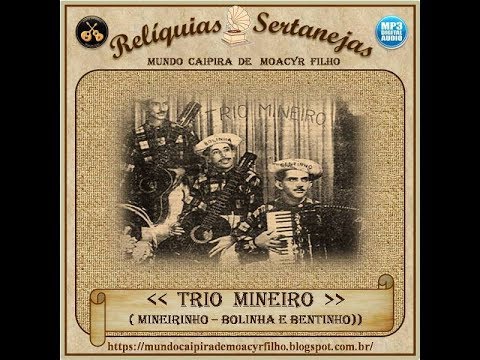 Cavalo Gaúcho - Trio Mineiro