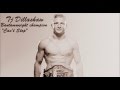 Tj Dillashaw - Entrance Song "Can't Stop" 