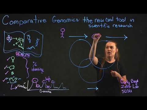 Comparative Genomics: The new cool tool in Scientific Research by Carly Boyd
