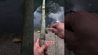 Download lagu CAN YOU REALLY FISH WITH BAMBOO!? #fishing #viral #fishing #viralvideo #shorts #fish #fish mp3