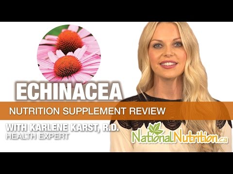 Echinacea Supplement Benefits - Professional Supplement Review | National Nutrition Canada