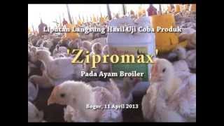 preview picture of video 'ZIPROMAX BROILER BOGOR'