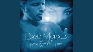 How Would U Feel (Stereo Anthem Mix)