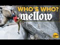Who's Who With The Mellow Climbing Crew || Climbing Gold Podcast w/Alex Honnold