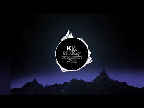 DJ Nibzy The kritikal mass megamix 2020