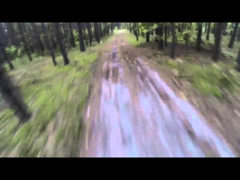 Bear Attack: Comedian Jim McCue Gets Chased by Bear