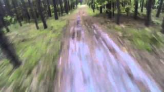 Bear Attack: Comedian Jim McCue Gets Chased by Bear