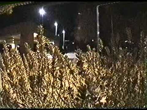 Coup De Tat (2000) 07 Dustin Latimer Section Rollerblading