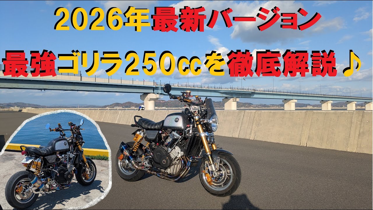 2026年！最新版のゴリラ250㏄を細かい点まで徹底解説します♪