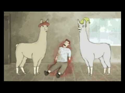 Lamas mit Hüten - UFF HESSISCH