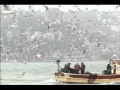 İstanbul'u Dinliyorum-Bir Orhan Veli Kanık Şiiri ...