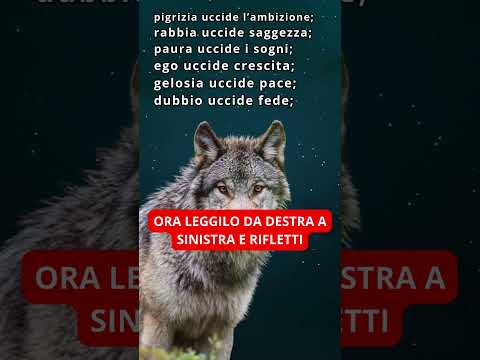 Il coraggio non è assenza di paura, è questo #motivation #quotes