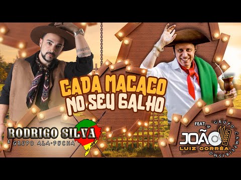 CADA MACACO NO SEU GALHO – Rodrigo Silva & Grupo Alapucha | Part. João Luiz Corrêa