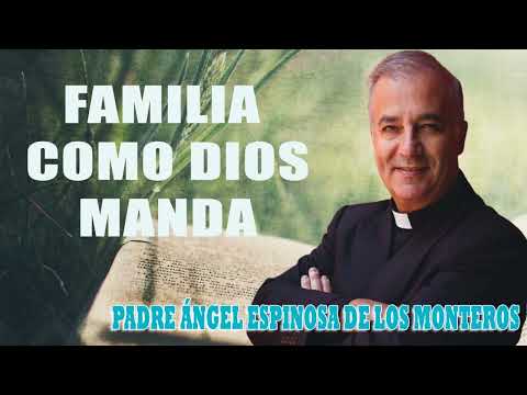 Padre Ángel Espinosa de los Monteros - Familia como Dios manda