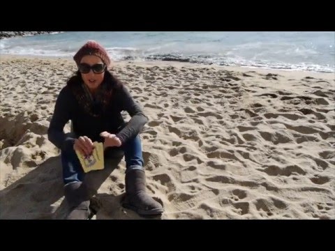 Wochenreading 15.- 21. 2. 16