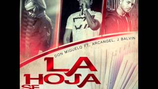 Don Miguelo Feat J Balvin Y Arcangel - La Hola Se Volteo REMIX