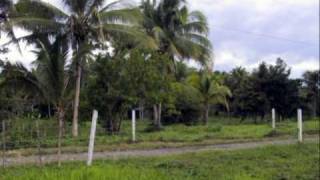 Eden Farm Photo Story 2007 - For sale - Alang-alang, Leyte, Philippines