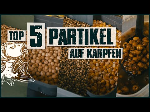 TOP 5 Partikel Köder - Günstige BOILIE-ALTERNATIVE [Wirkung und Lagerung]