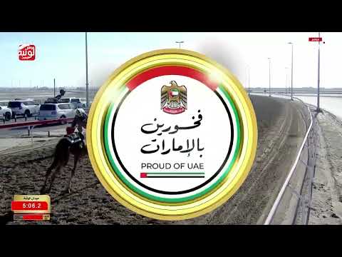 ش 11 (مخلاب) لـ عمر محمد بن حمود مصبح الكتبي 7:23:01 ، مهرجان ختامي الوثبة 2026/05/11 لقايا