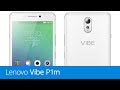 Mobilní telefony Lenovo Vibe P1m Dual SIM