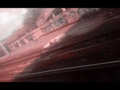 FEELSLXVE (ex FLCHAN) • Senses