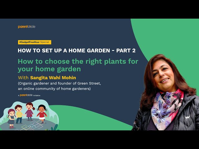 How to set up a home garden – Part 2: Choosing the right plants helps a lot