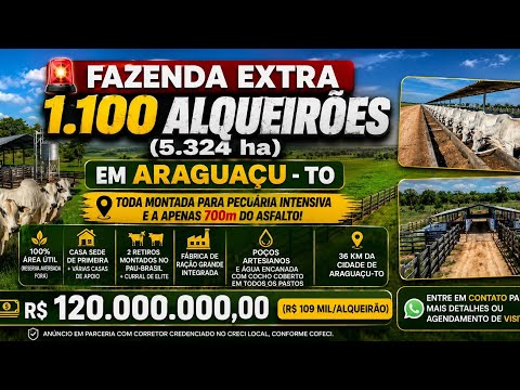 Fazenda 1.100 Alqueirões (5.324 ha) em Araguaçu - TO | Pronta para Pecuária de Elite