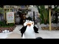 Madagascar Boogie I Like To Move It By Maxrvlim