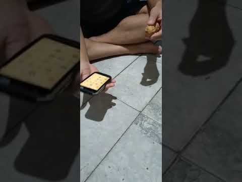 Trying to break nut with cellphone CAT s31 (bought 2019)