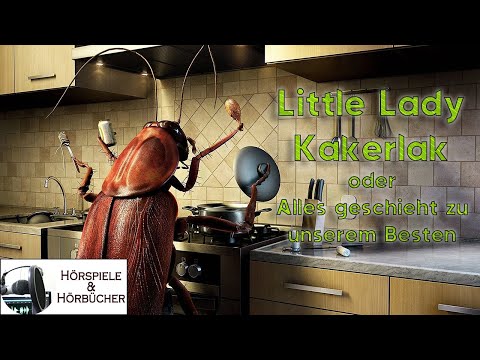 Little Lady Kakerlak oder Alles geschieht zu unserem Besten - Hörspiel