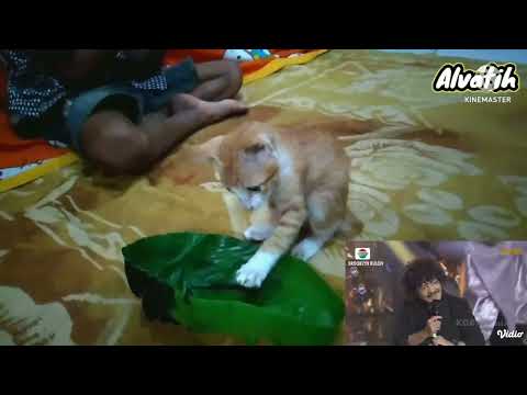 caca handika_angka satu ft korn. slipknot & lesti.metal vs koplo