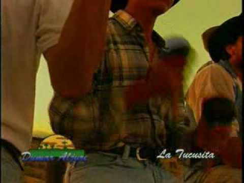 Dumar Aljure - La Tucusita