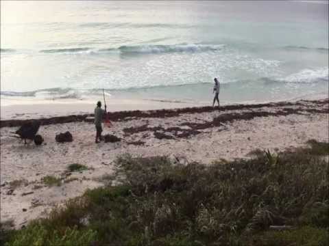 Sian Ka'an (CESiaK) Ecological Reserve, near Tulum, Mexico