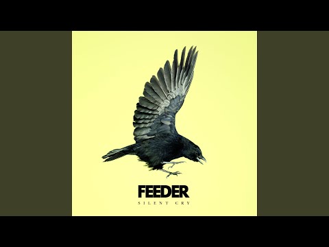 Heads Held High - Feeder