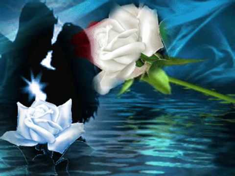 SOFI MARINOVA BELE RUŽE