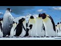 Noah And The Elders Being Orthodox Catholic Compilation Happy Feet